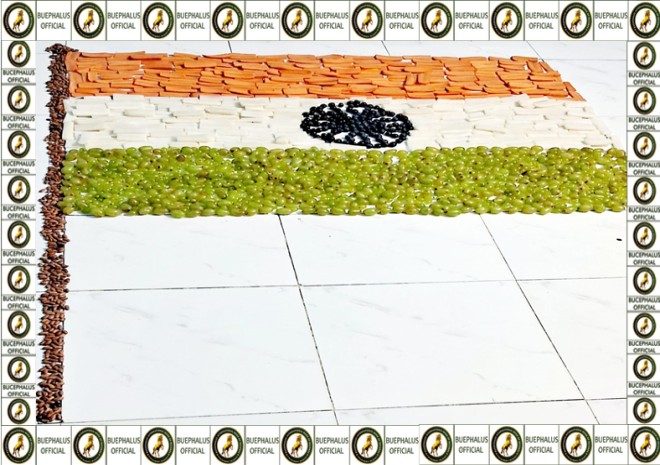 bucephalusinternationalbookofrecords, World records