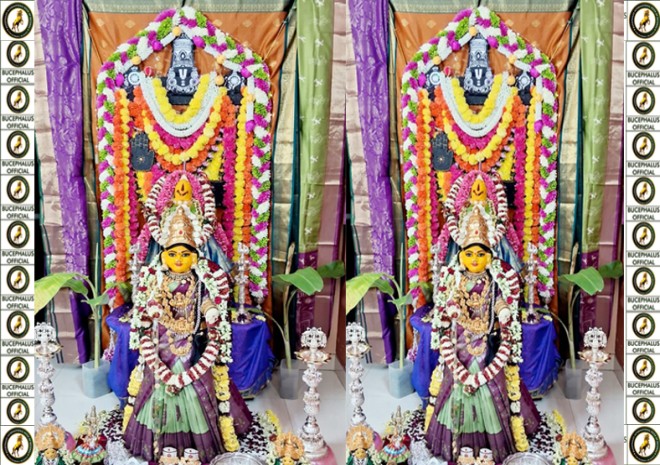 bucephalusinternationalbookofrecords,individual records