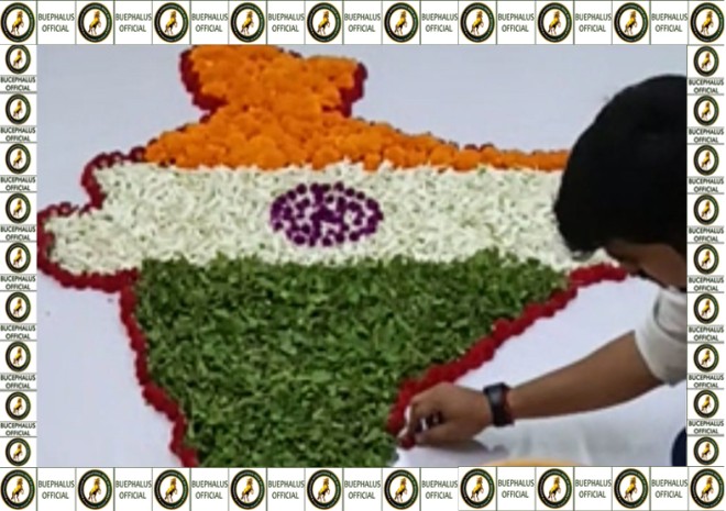 bucephalusinternationalbookofrecords, World records