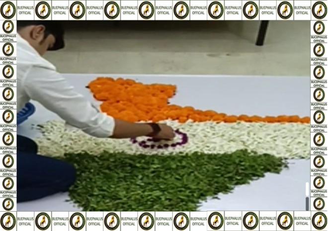 bucephalusinternationalbookofrecords, best record events