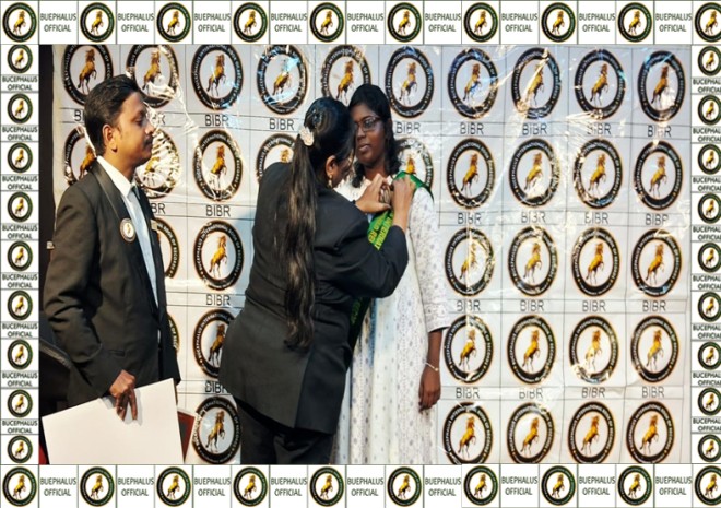 bucephalusinternationalbookofrecords, World records