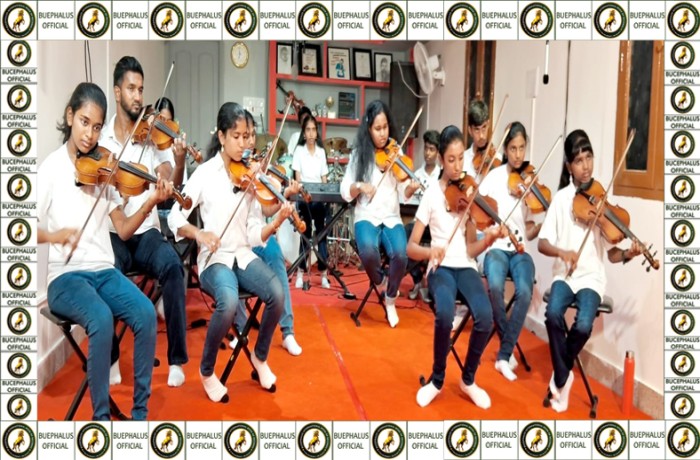 bucephalusinternationalbookofrecords, best records