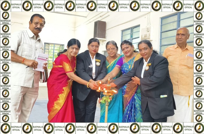 bucephalusinternationalbookofrecords, best records