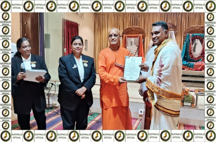 bucephalusinternationalbookofrecords, best records