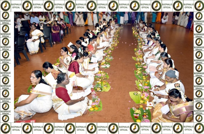 bucephalusinternationalbookofrecords, best records